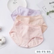 Nam Cực đồ lót nam nữ cotton giữa eo nữ sinh viên thoáng khí cotton nữ Nhật Bản liền mạch quần short tam giác YK quần lót su