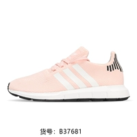 B37681
