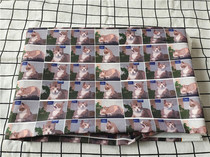 Cartoon Fabric Fine Canvas Printed Handmade Diy Fabric Sofa Cover Fabric Packs Hostel Tablecloths and Leaf