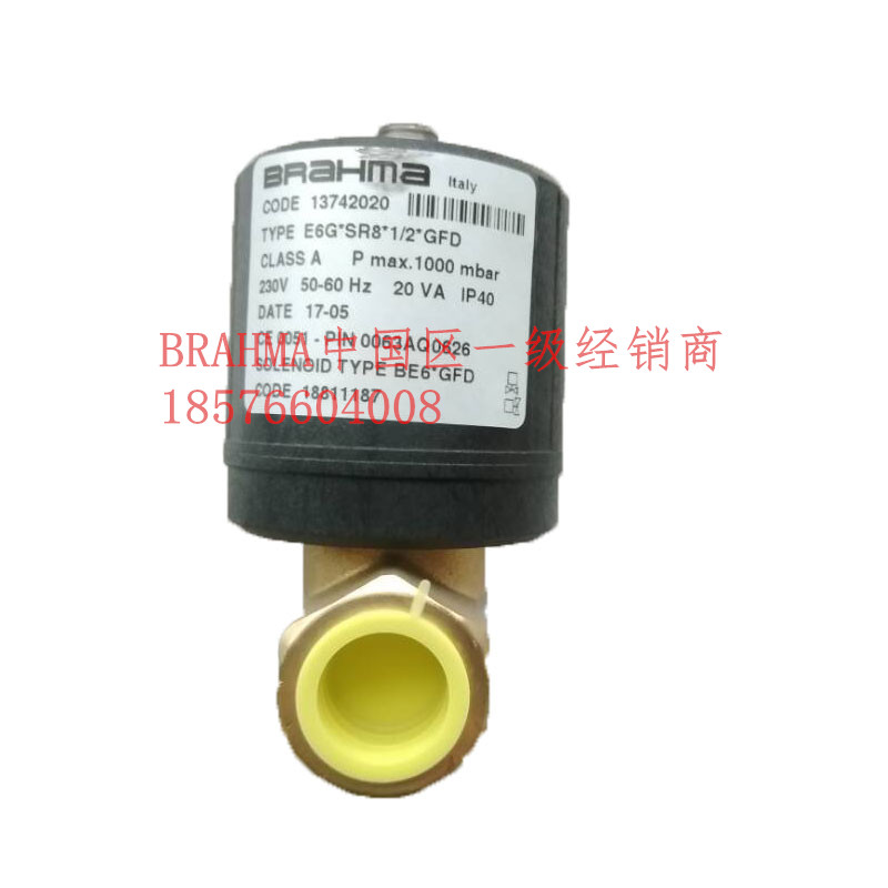 Original E6G * SR8*1 2*GFD Brama natural liquefied gas solenoid valve 13742020 burner