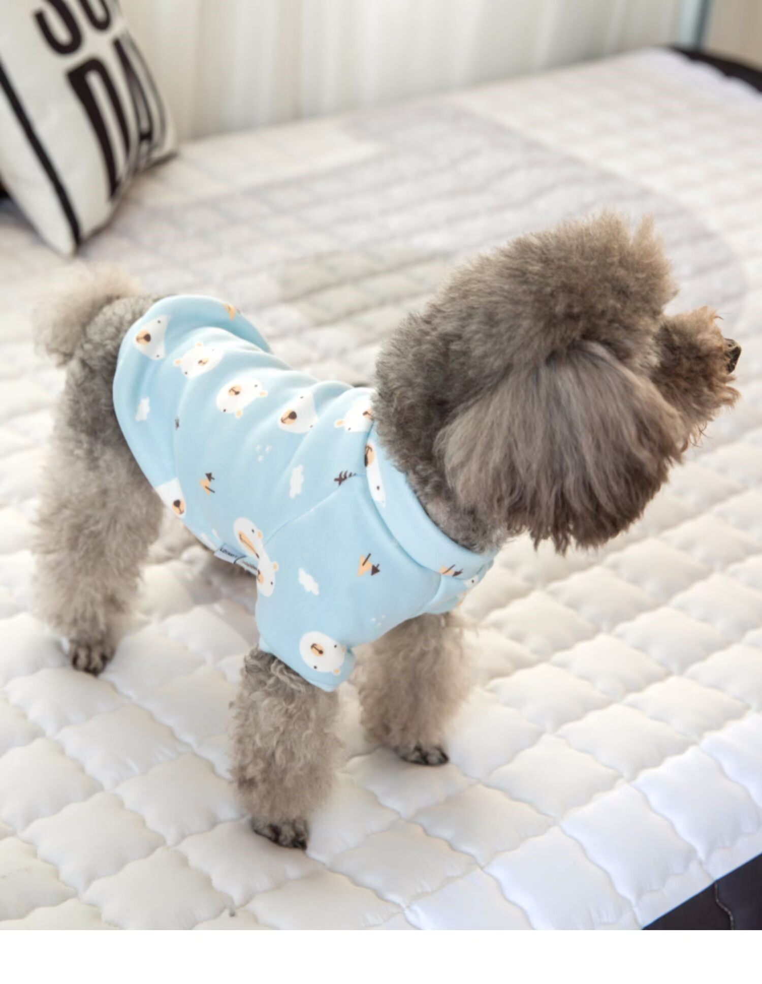 Trang phục quần áo đồ ngủ cho thú cưng trang trí với quần áo chó nhỏ Teddy chó con VIP quần áo mèo quần áo mùa xuân - Quần áo & phụ kiện thú cưng quần áo cho chó con