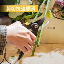 Right-hand Steel Gardening Sheared Scissors Fruit Tree Branches Garden Flowers Branches Floral Arts scissors pruner pruner Pruning Fruit God