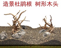 Look at the picture to buy rhododendron root Fish tank Grass tank Landscaping decoration Tree root making Moss tree head habitat root