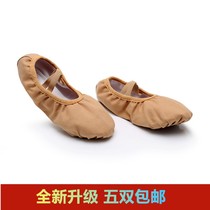 Free Rope Child Male Female Adult Cat Paws Soft Bottom Dance Shoes Practice Shoes Ballet Shoes Flat Bottom Teacher Shoes