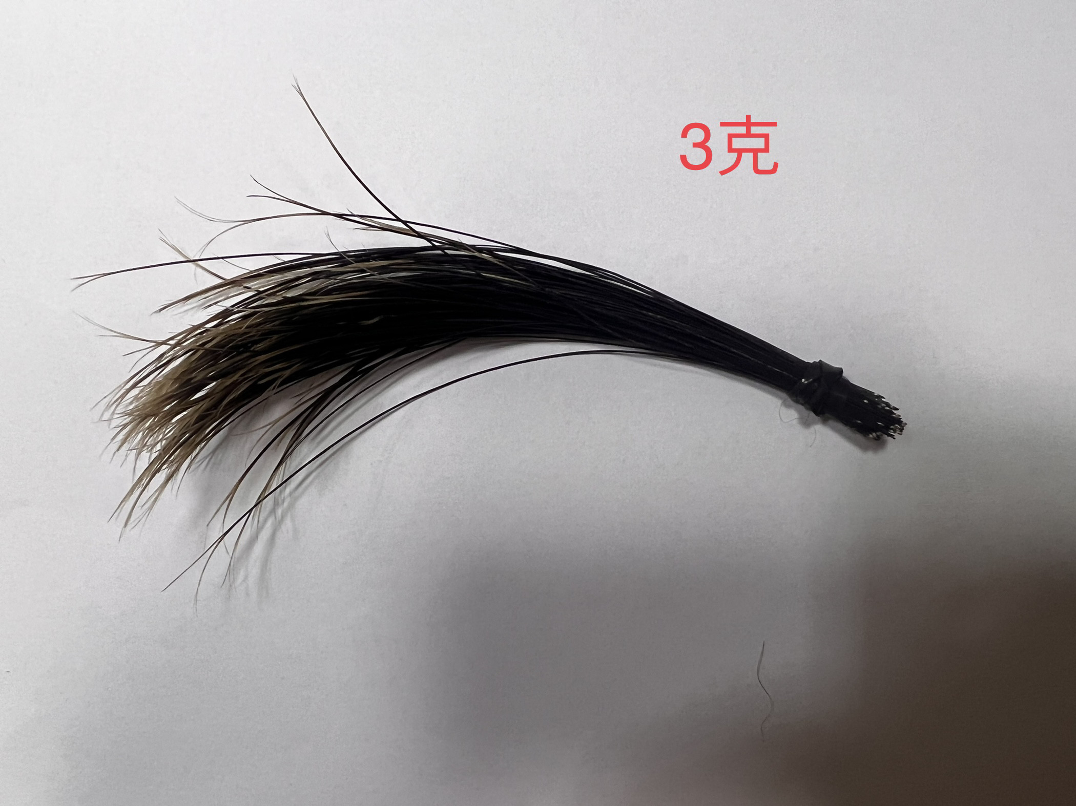猪毛/猪鬃毛,真的这么好用?🌟深度解析-动物毛鬃-淘宝好物网
