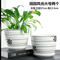 Small flower rhododendron simple multi-creative personality green meat household pot ceramic special offer large flower pot with tray green plants