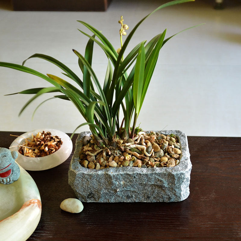 Natural stone flower pot H1 personality flower pot Pool Taste art fleshy desk Creative stone flower pot