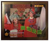 Tea-picking opera after the flow of the brides genuine VCD double disc