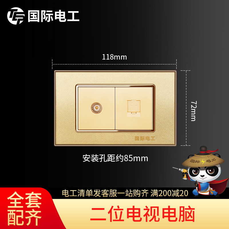 (Two TV Computers) International Electrician 118 Type Switch Socket Panel Power Frosted Champagne Gold Socket