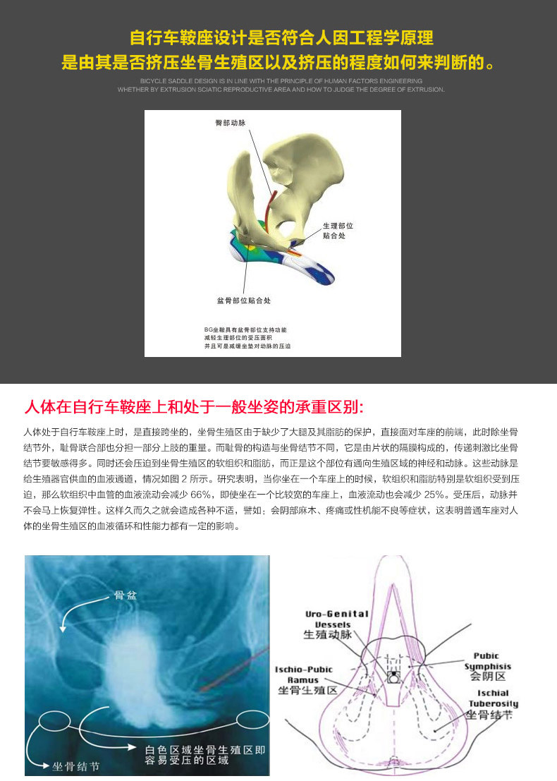 Selle de vélo JCSP  - Ref 2348827 Image 9