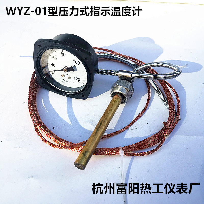 Hangzhou Fuyang WYZ-01 Type Pressure Indication Thermometer Y60 Marine Telemetry Thermometers T K II-6 0 3M2