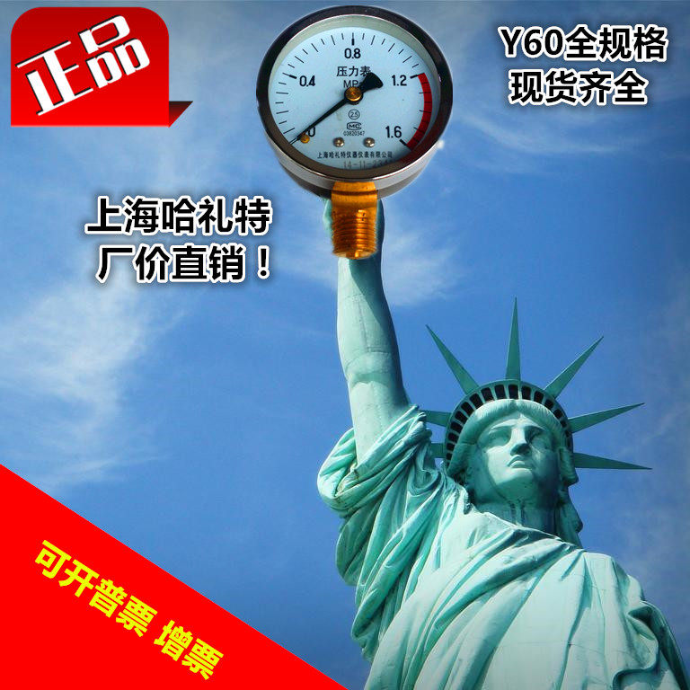 Shanghai Halite Y-60 radial common pressure meter Y60 air pressure hydraulic pressure gauge 0 4 6 40 MPa