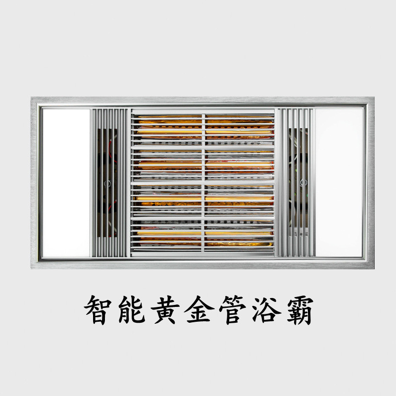 Integrated ceiling Gold Tube bath Lamp Bathroom Light Warm Air Warming Makeup room 300x600 Home Embedded LED light