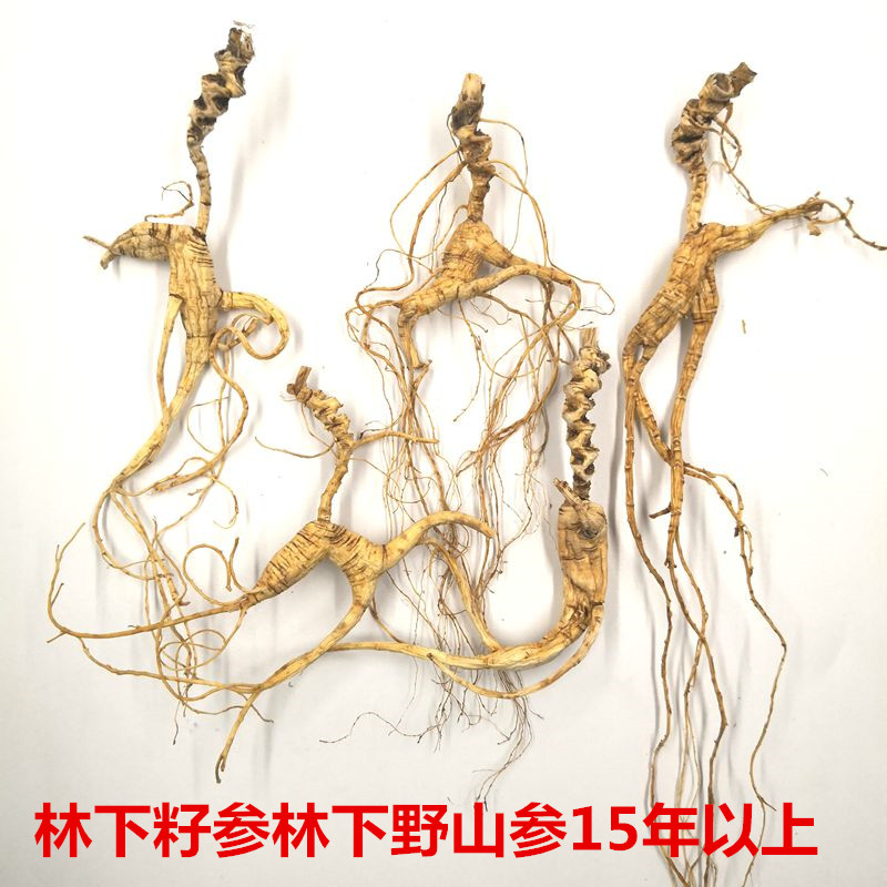 Changbai Mountain ginseng Wild Mountain ginseng 20 years Under the forest ginseng Disabled ginseng Under the forest Seed forest Down the mountain ginseng Foot dry dry ginseng