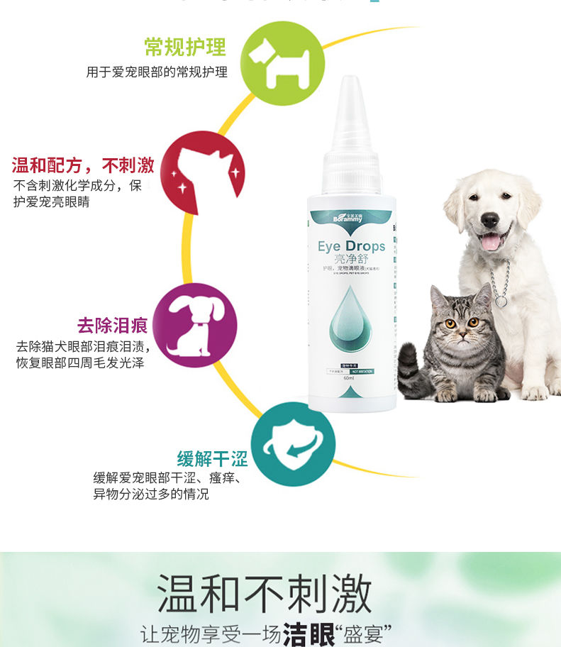 Chó mèo nhỏ mắt nhỏ hơn gấu Teddy rửa mắt nhỏ giọt nước mắt - Thuốc nhỏ mắt thuốc nhỏ mắt chó bio