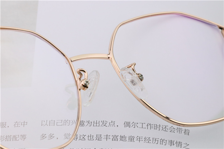 Montures de lunettes en Alliage cuivre-nickel - Ref 3139207 Image 22