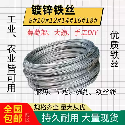 Factory supply galvanized iron wire rust-proof cold-plated iron wire with grape greenhouse handmade art art site construction wire thread