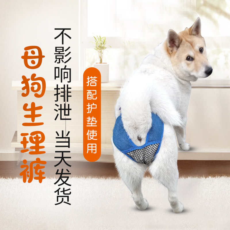 Can excrete physiological pants large dog sanitary pants gold hair blue pants and female pants safety pants