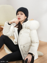 Seven quantities a cut autumn and winter small fur collar hooded down jacket loose waist padded white duck down jacket 1058