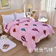 giường Winter tấm flannel ấm chăn bông sang trọng bao gồm mảnh duy nhất của miếng bông dày trên cả hai mặt với một tấm chăn vào mùa đông - Trải giường drap bọc nệm
