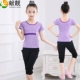 6045 Purple+Harlen Pants