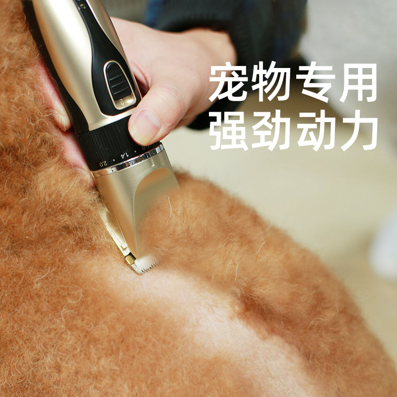 Pet Pooch Shave Professional Electric Push Cut Size Medium Dog Kitty Electric Push Cut Teddy Haircut Hair God