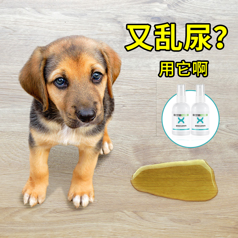 Dog defecation inducer training toilet positioning point pee, pee, poop, pet cat guide supplies