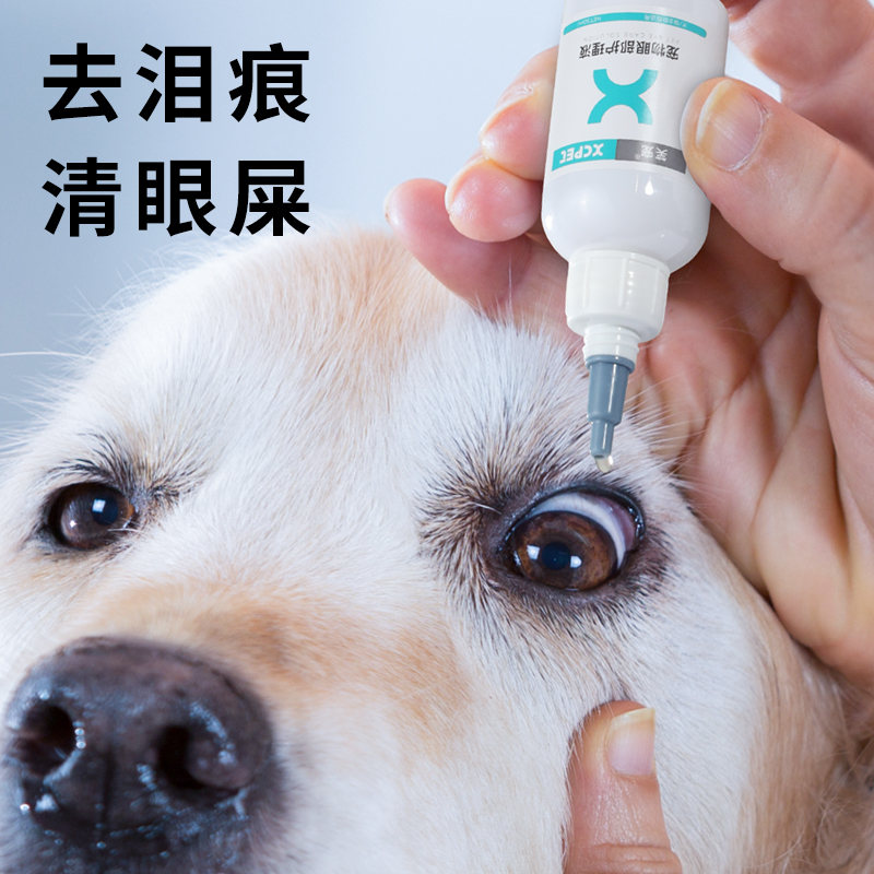 Pet kitty dog eye drops go to tears, eye shit than bear eyes inflamed, anti-inflammatory red eye drops theorized