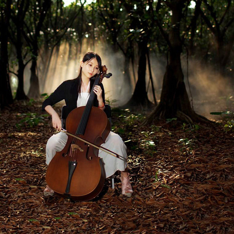 Hao Cheng Cello Adult Children Beginners Professional Hand-level Hand-Complete Composition Composition Cello