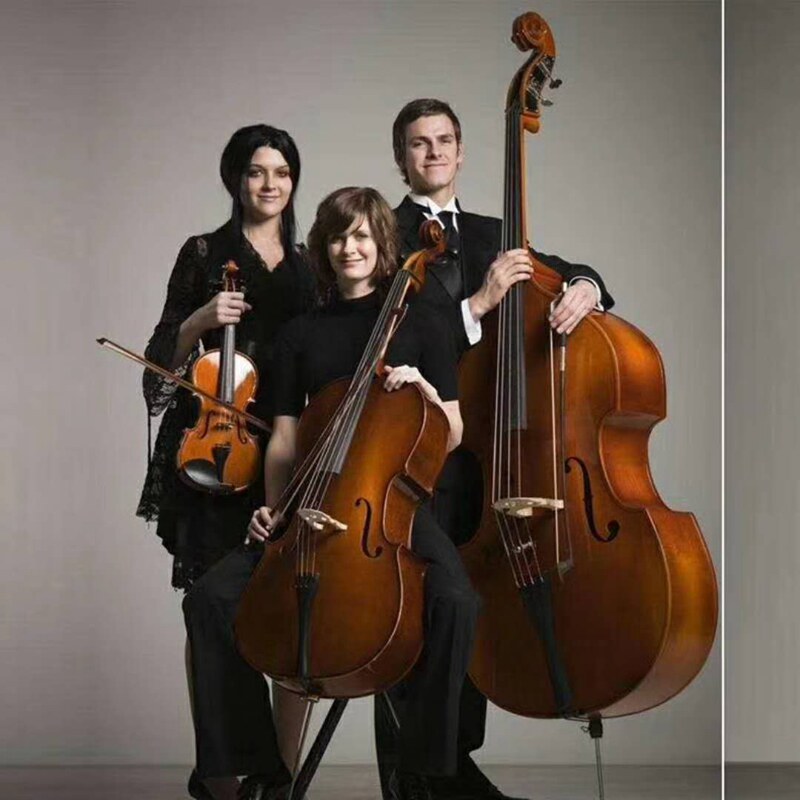 Haocheng Double Bass Double Cello Bass Big Bass Big Bass Children Adult Professional Playing Big Bass