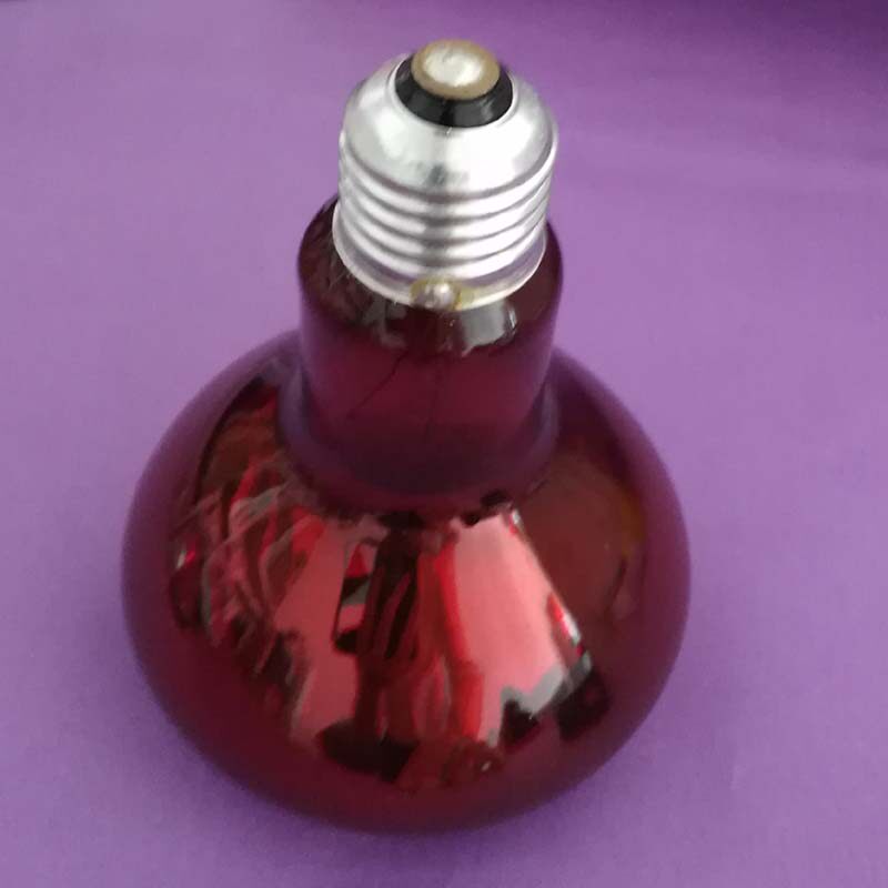 干身机用红外线灯泡230V100W E27螺口