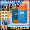 Manufacturer Decathlon same style outdoor sports lightweight backpack leisure student hiking large capacity backpack