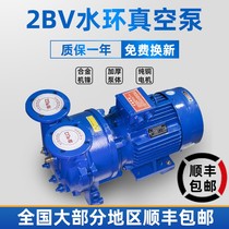 2BV Water Ring Vacuum Pump Water Circulation Vacuum Pump Industrial Large High Vacuum Pumping Negative Pressure Pump Vacuuming