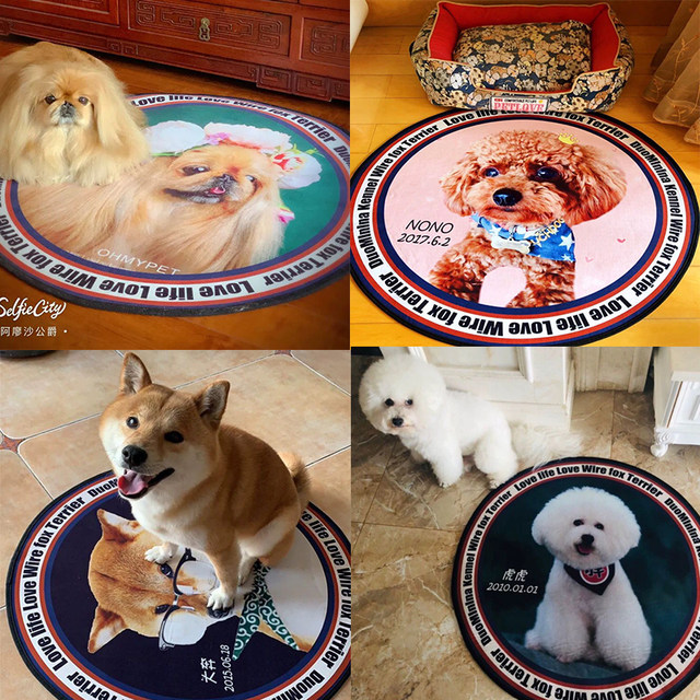 ຜ້າປູທີ່ເຮັດດ້ວຍສັດລ້ຽງ Customized, round suede dog bed bed, spring, autumn and summer seasons, large and small dog and cat bed carpet