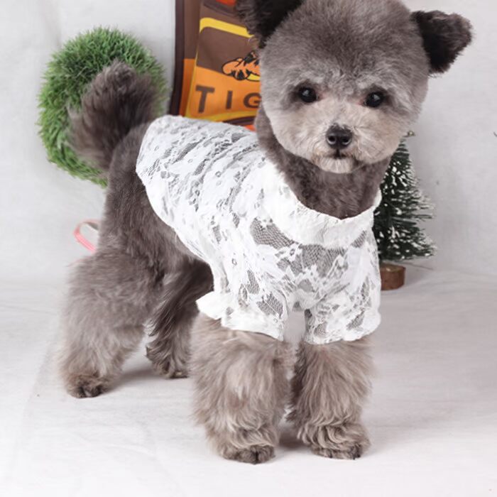 Quần áo cho chó Áo ren đáy quần áo Thú cưng gấu Teddy vật nuôi chó nhỏ và mèo quần áo - Quần áo & phụ kiện thú cưng phụ kiện chó