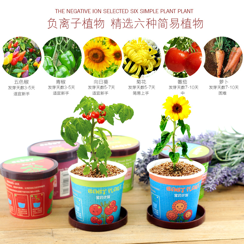 Creative Mini Plant Self Planting Small Potted Flowers Farmhouse Kindergarten Children Planting DIY Suit Observation