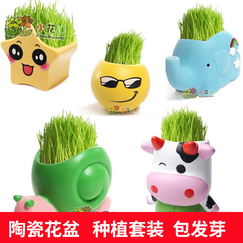 Cartoon Ceramic Creative Expression Grass Head Doll Kindergarten Children Baby Green Grass Planting Mini Little Potted Plant