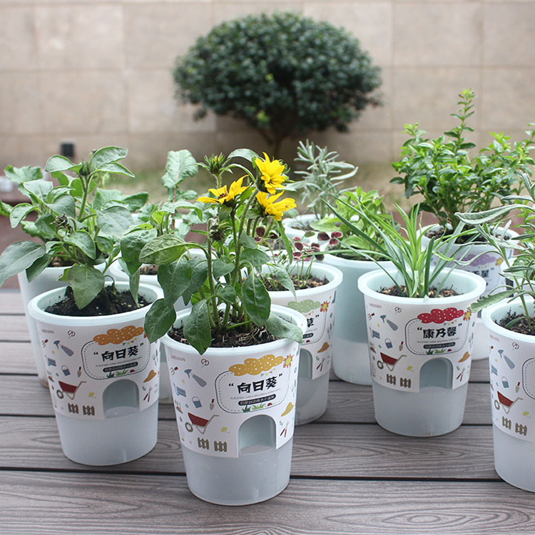 Children grow small potted plants seed seed germination growth Watch varieties of flowers small flowers Farmers happy farm canned flowers