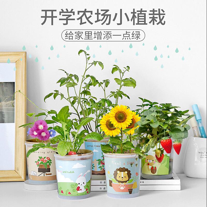 Desktop DIY Creative Mini Small Potted Flowers Fun Children Cultivation Happy Farm Kindergarten Botanical Observation