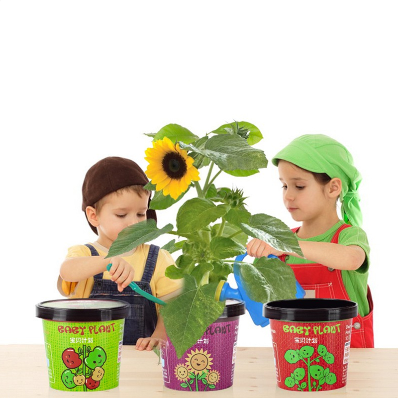 Children Planting Toys Self-breeds Small potted sets Toddlers Baby plants germination Watch DIY small flower farmers