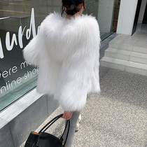  Raccoon hair woven fur coat womens short hooded long-sleeved fashion young hairy coat fox hair anti-season