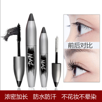 Thailand DFN thousand machine mascara waterproof long-lasting slender roll natural warping long thick anti-sickness two sets