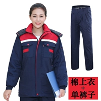 Тибетский синий с красным плече