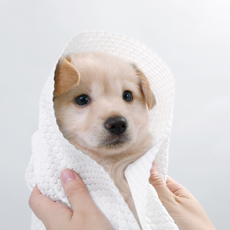 Small Peppy Pet Pooch Disposable Towel Cat Speed Dry Water Suction Special Bath Towels Teddy Bath Towel Supplies