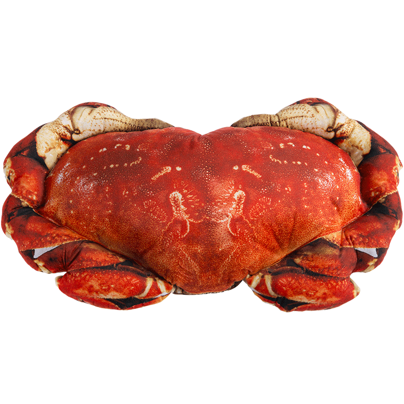 ��粹��ʿ�ͨ������ͷPX1