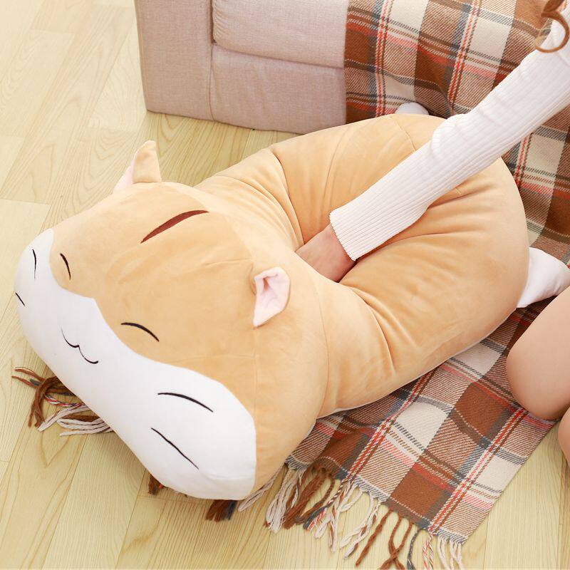 ��֮��ë����� ��20170507