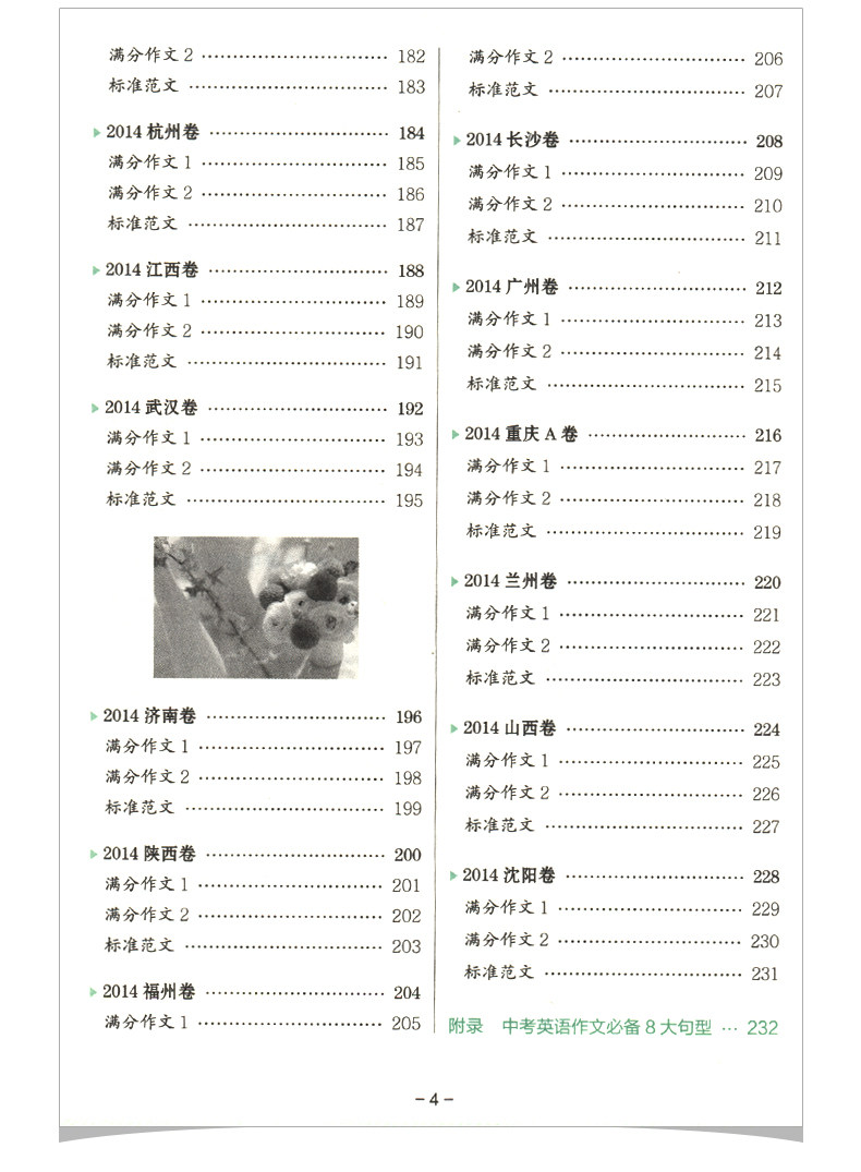 2018pass绿卡图书漫画图解中考英语满分作文