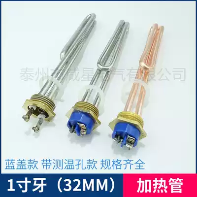 1 inch copper head tube 32mm screw tube DN25 electric water heater heating pipe rod 1 5 2 3 4 6KW