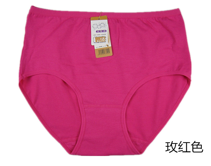 Slip simple en coton - Ref 644604 Image 34