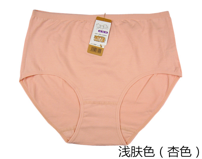 Slip simple en coton - Ref 644604 Image 29